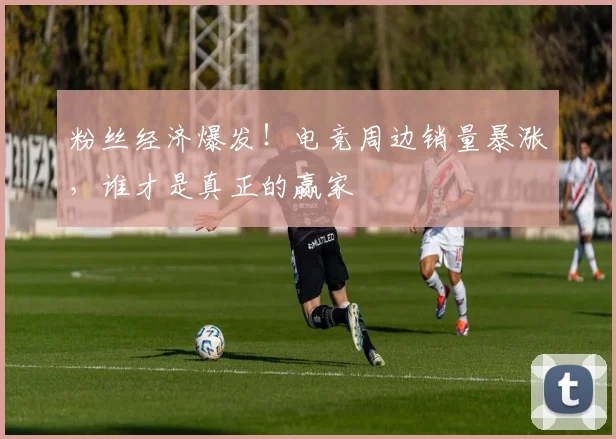 粉丝经济爆发！电竞周边销量暴涨，谁才是真正的赢家