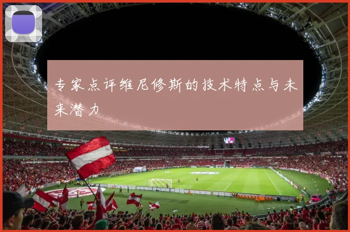 专家点评维尼修斯的技术特点与未来潜力