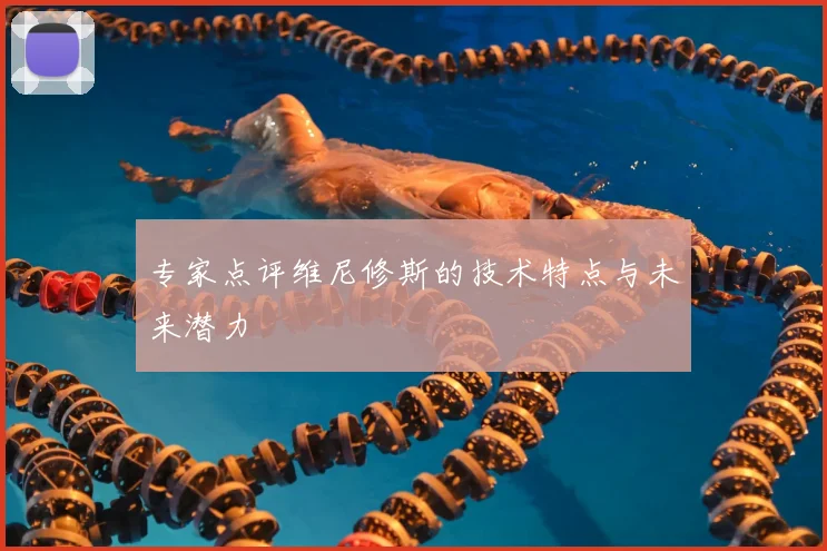 专家点评维尼修斯的技术特点与未来潜力